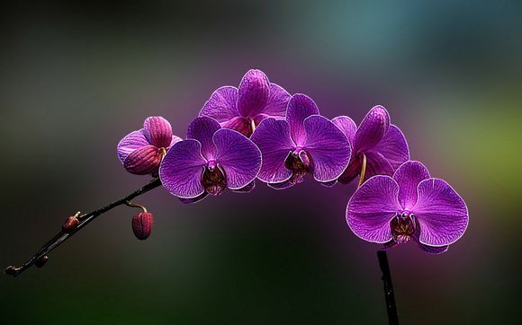 U盘驱动程序