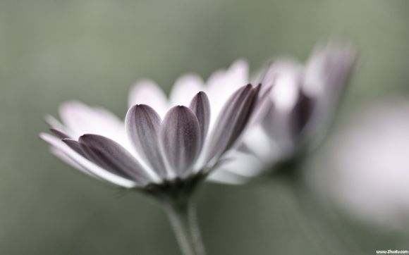 爬龟妇是什么意思