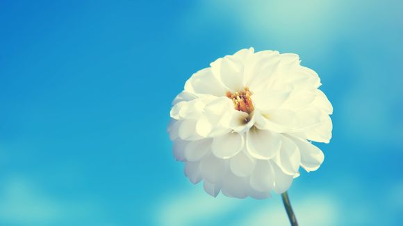 相濡以沫 不如相忘于江湖
