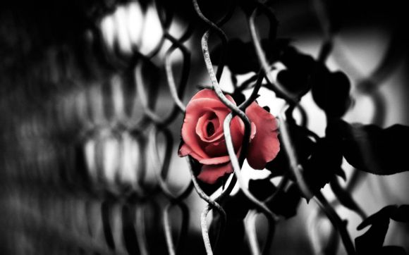 好玩的单机休闲游戏